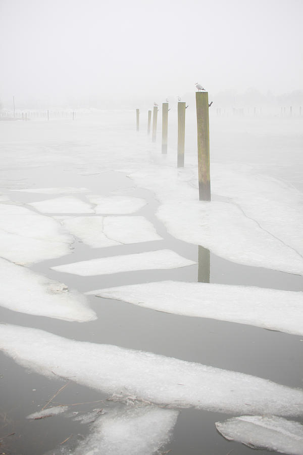 Breaking Ice Photograph by Karol Livote