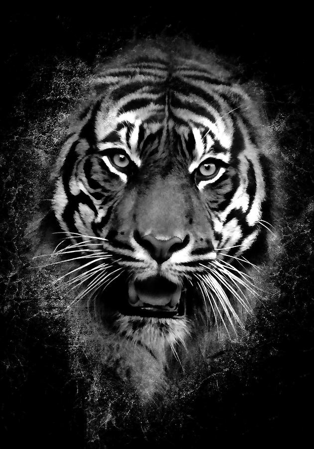 Tiger Photograph - Breaking Out II by Athena Mckinzie