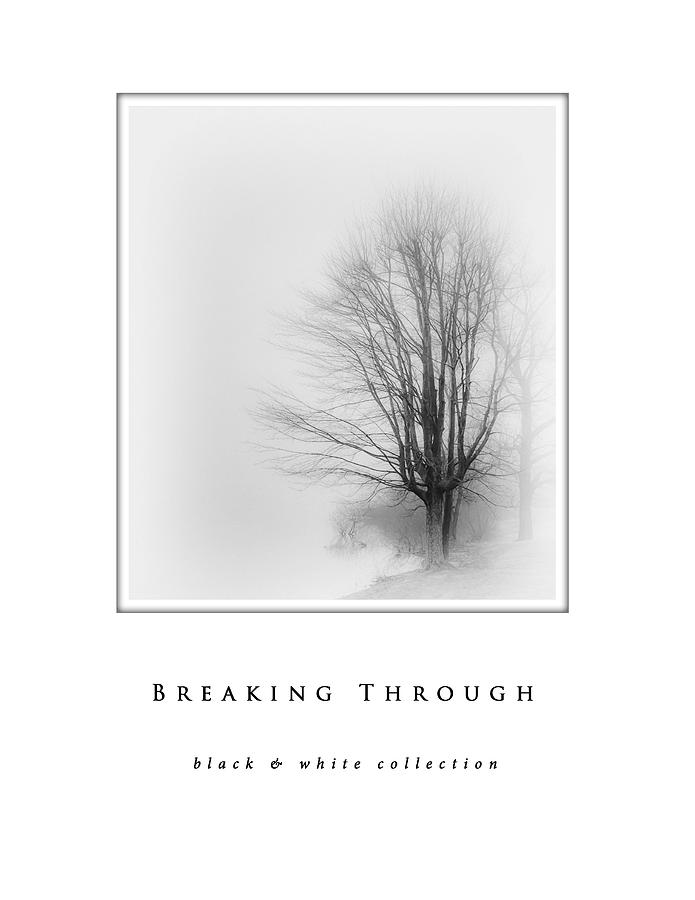 Breaking Through  black and white collection Photograph by Greg Jackson