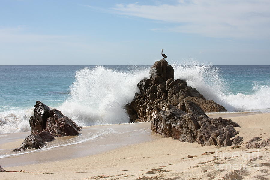 Breaking Waves Photograph By Christina Gupfinger Fine Art America