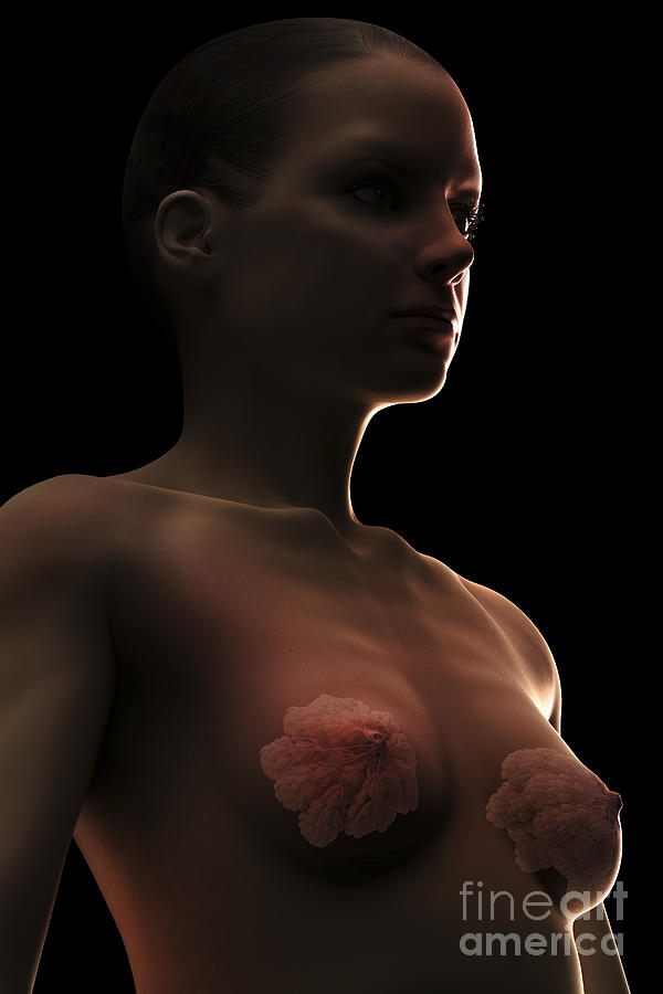 Breast Tissue Photograph by Science Picture Co