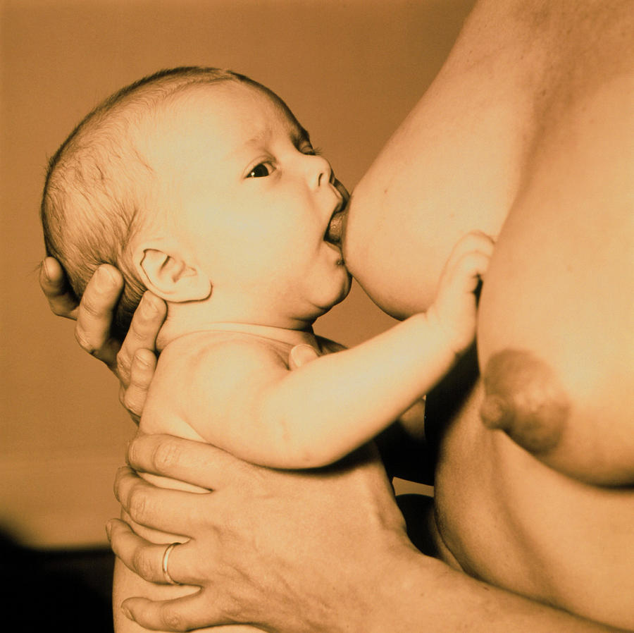 Baby Photograph - Breastfeeding by Mark Thomas/science Photo Library