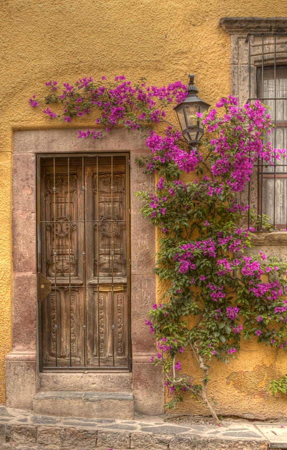 Architecture Photograph - Breathtaking Bougainvillea by Lindley Johnson