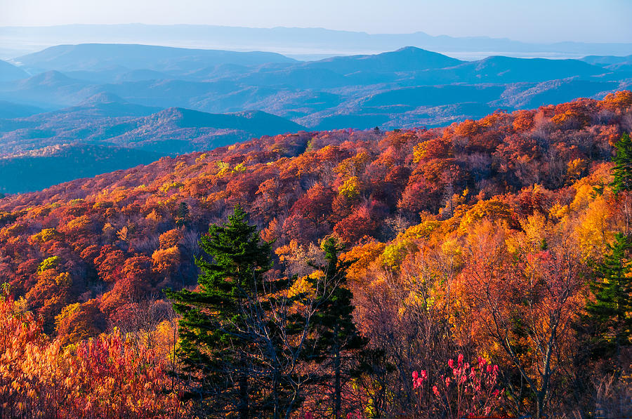 Landscape Photograph - Breathtaking Color on the Blue Ridge   by Lynn Bauer