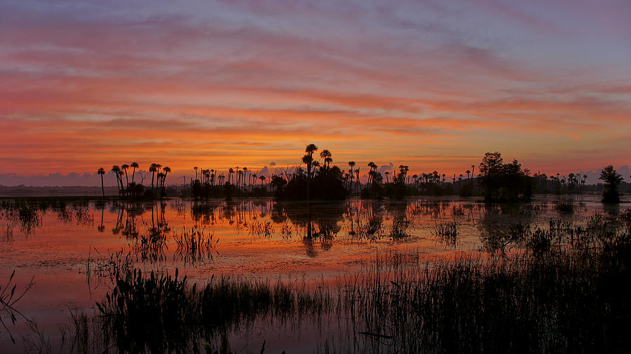 Breathtaking Florida Photograph by Brian Kamprath