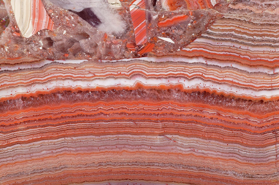 Brecciated Agate Stone Photograph by Natural History Museum, London/science Photo Library