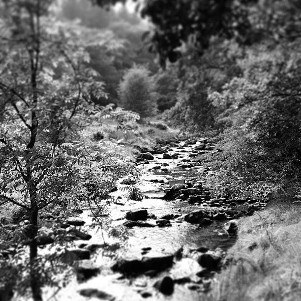 Black And White Photograph - Brecon stream by Alex Nagle