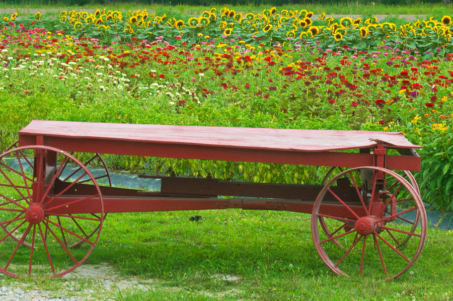 Breezy Acres Farm Photograph by Leigh Ann Hartsfield - Fine Art America