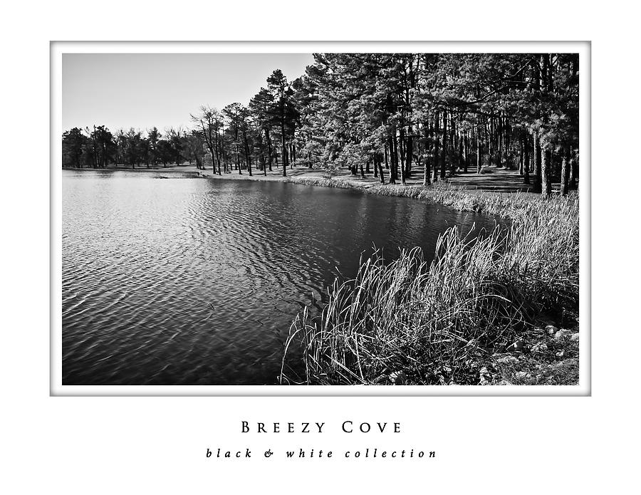 Breezy Cove  black and white collection Photograph by Greg Jackson