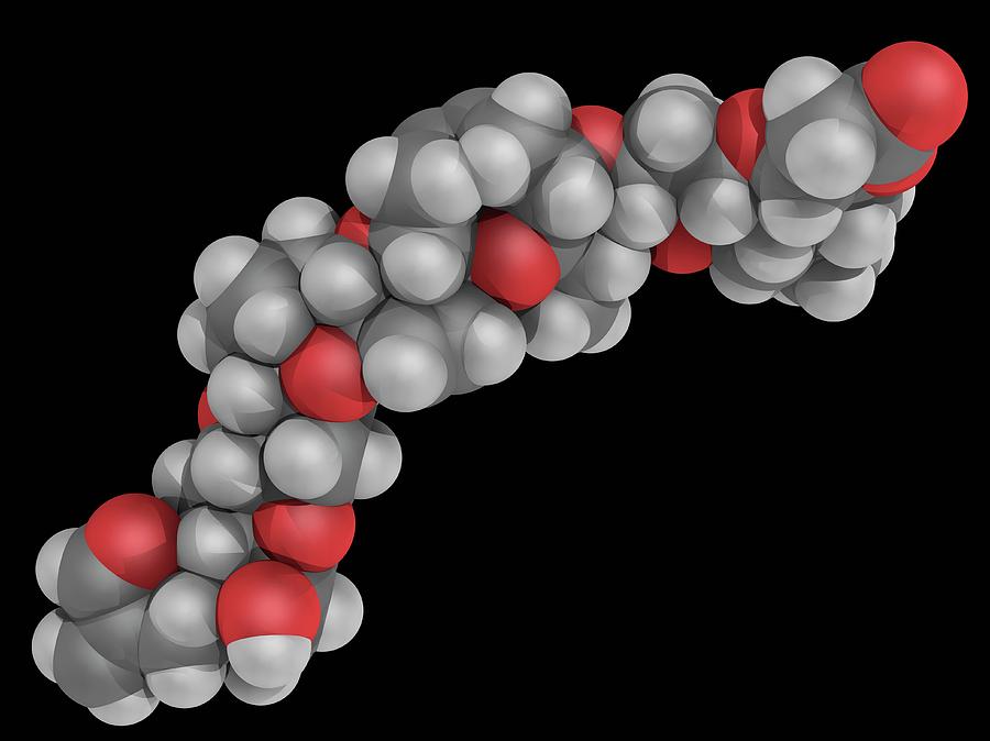 Brevetoxin Neurotoxin Molecule Photograph By Laguna Design/science ...