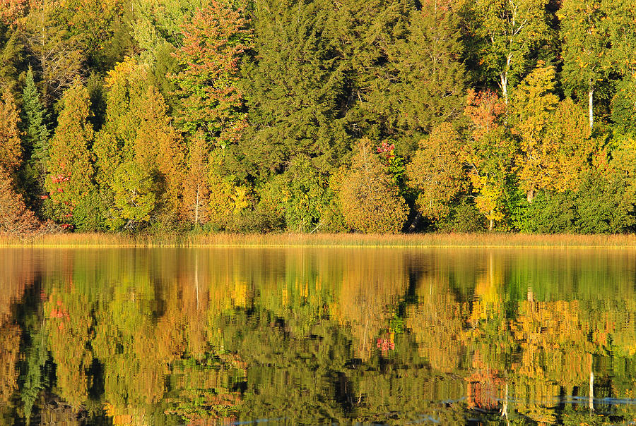 Brevort Lake in Reflection Photograph by Rachel Cohen