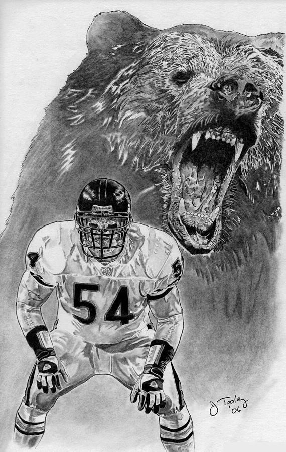 Brian Urlacher Drawing by Jonathan Tooley