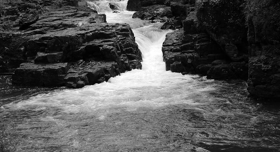 Brice Creek Waterfall bw Photograph by Kami McKeon