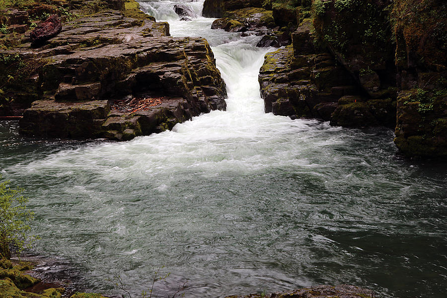 Brice Creek Waterfall Photograph by Kami McKeon
