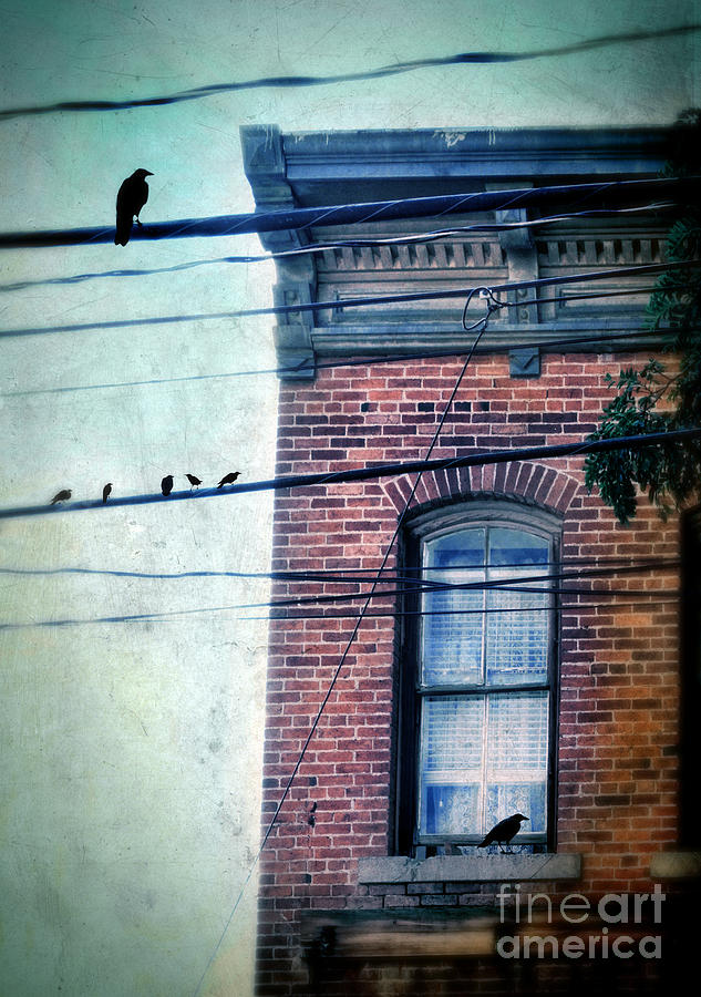 Brick Building Birds on Wires Photograph by Jill Battaglia