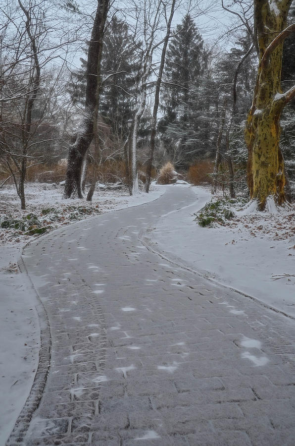 Brick Path After Snow at Sayen Gardens Photograph by Beth Venner