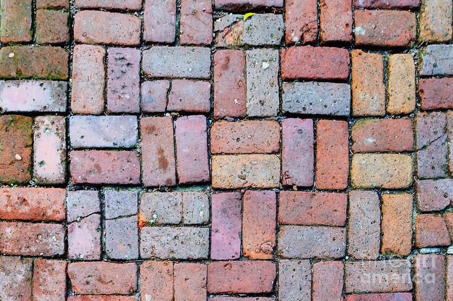 Brick Path Photograph by Henrik Lehnerer