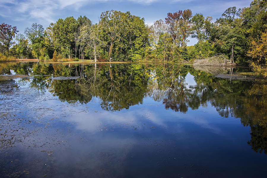 Brick Pond Reflection Photograph by Michael Whitaker