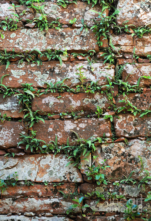 Brick Wall Detail Argentina Photograph by Vivian Christopher