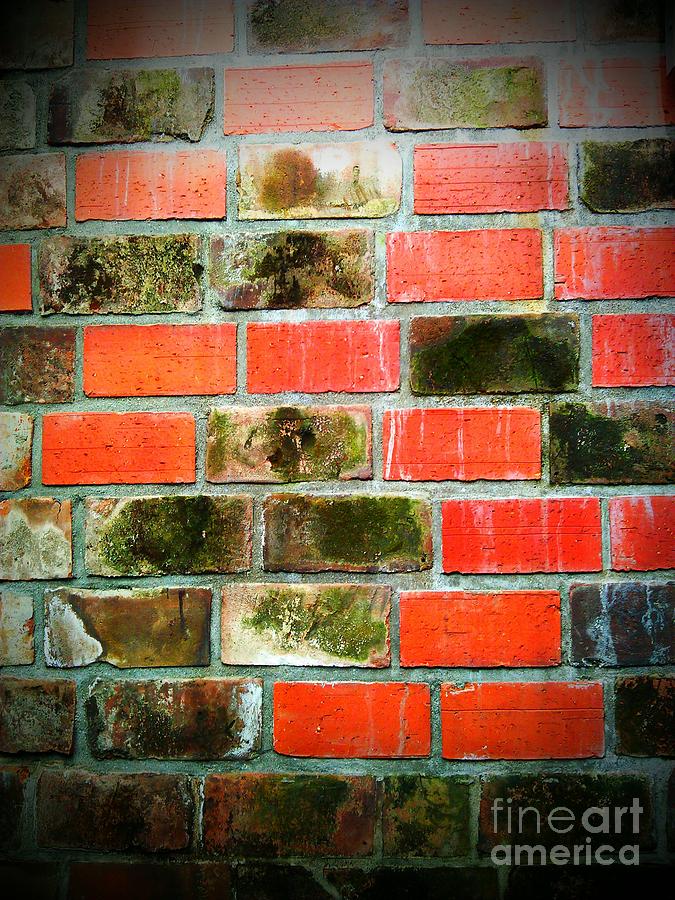 Brick Wall Photograph by Eena Bo