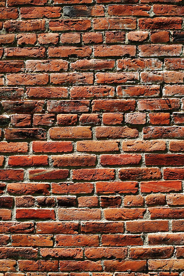 Brick Wall Photograph by Jimss