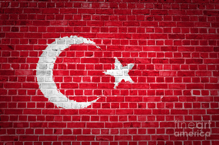 Brick Wall Turkey Digital Art by Antony McAulay