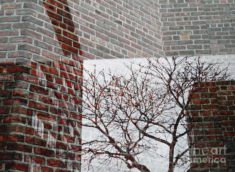 Tree Photograph - Bricked In by Sarah Loft