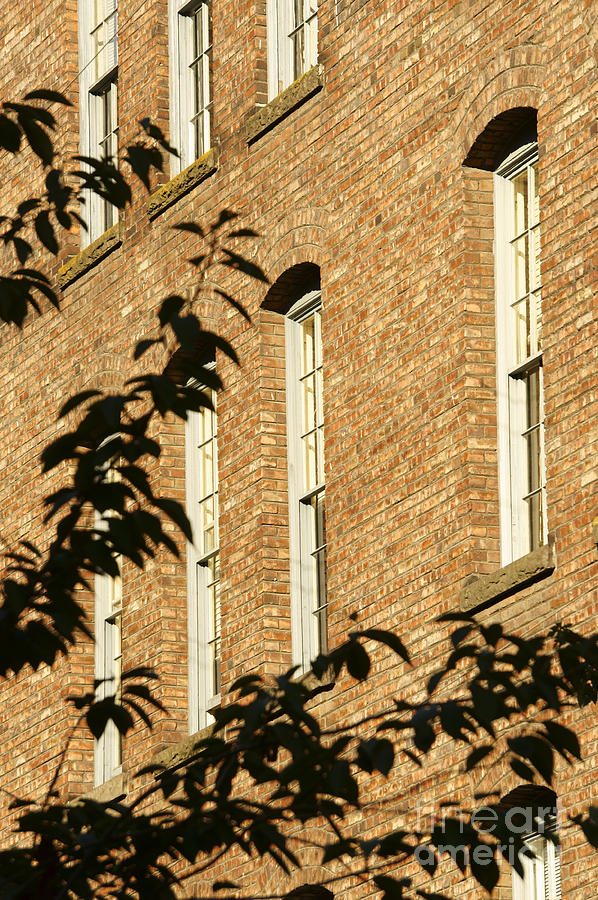 Bricks and Leaves Photograph by John  Mitchell