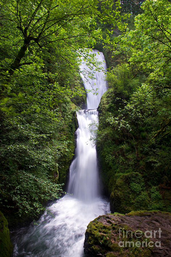 Waterfall Photograph - Bridal Veil Falls in Oregon by Jackie Follett