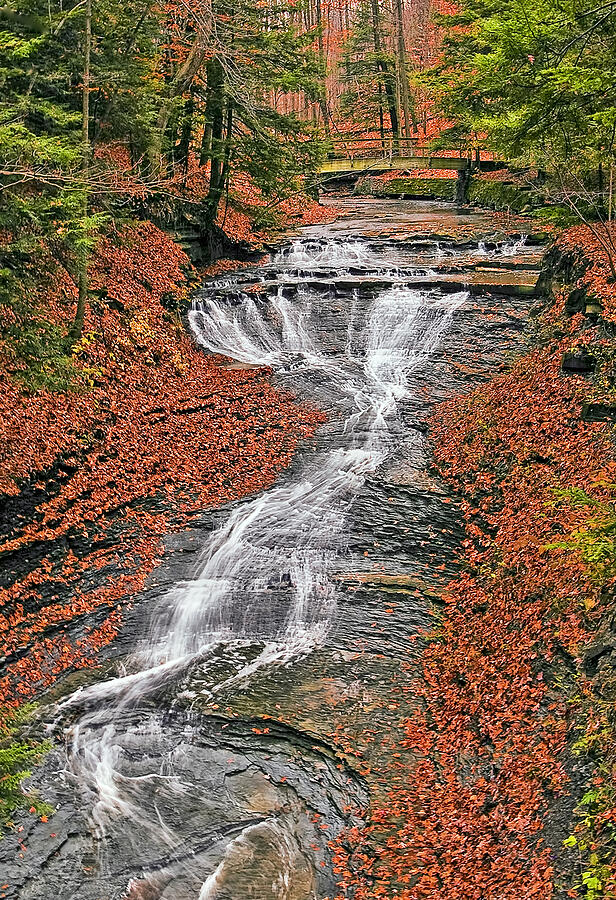 Bridal Veil Waterfall Photograph by Marcia Colelli Pixels
