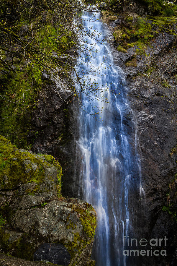 Bridalveil Falls Photograph by Mitch Shindelbower