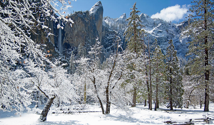 Yosemite National Park Digital Art - Bridalveil Falls - Yosemite NP by Jim Pavelle