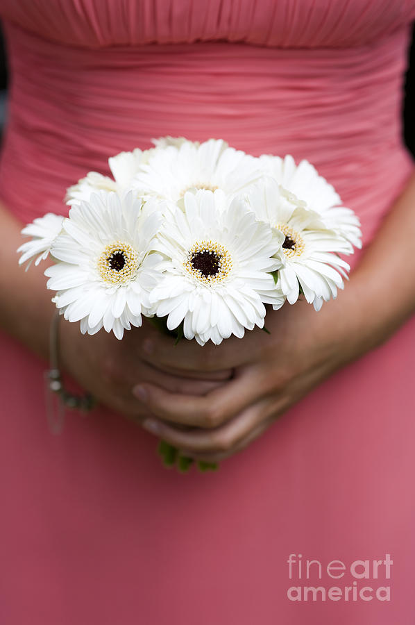 Bridesmaid Holding A Bouquet Of Berbera Photograph by Lee Avison