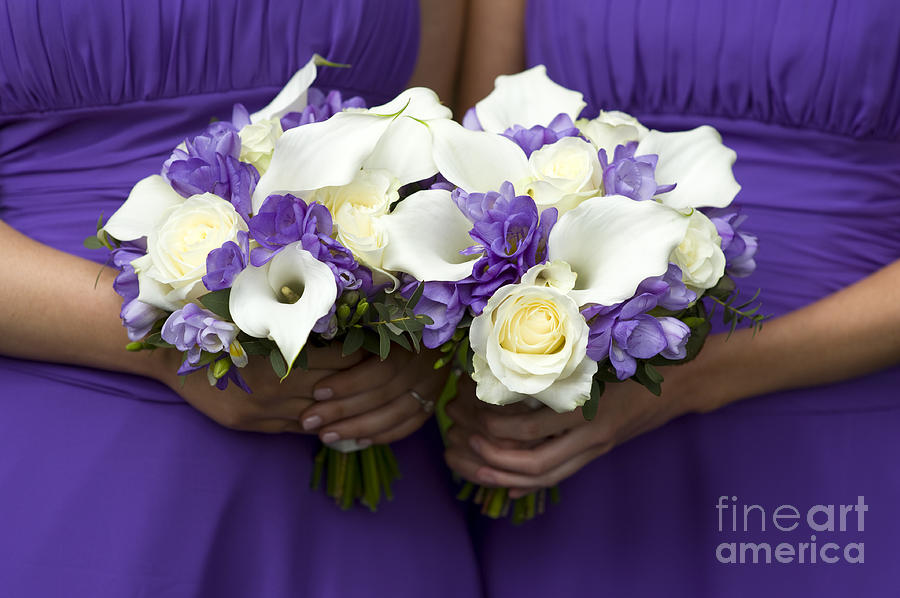 Bridesmaids With Wedding Bouquets Photograph by Lee Avison