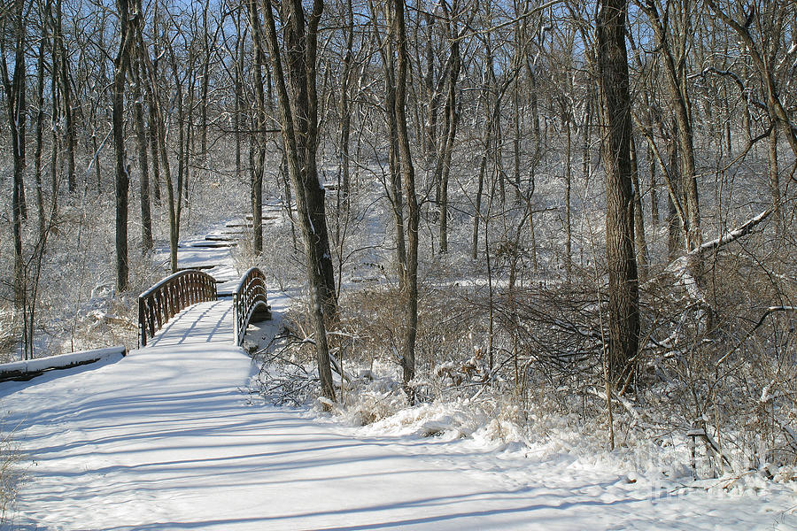 Winter Photograph - Bridge 0009 by Gary Gingrich Galleries