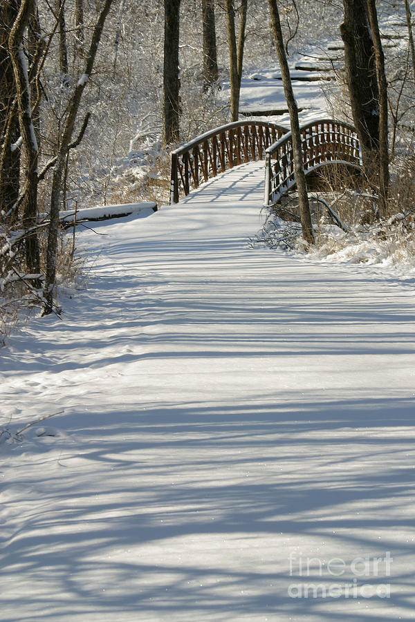 Winter Photograph - Bridge 9896 by Gary Gingrich Galleries