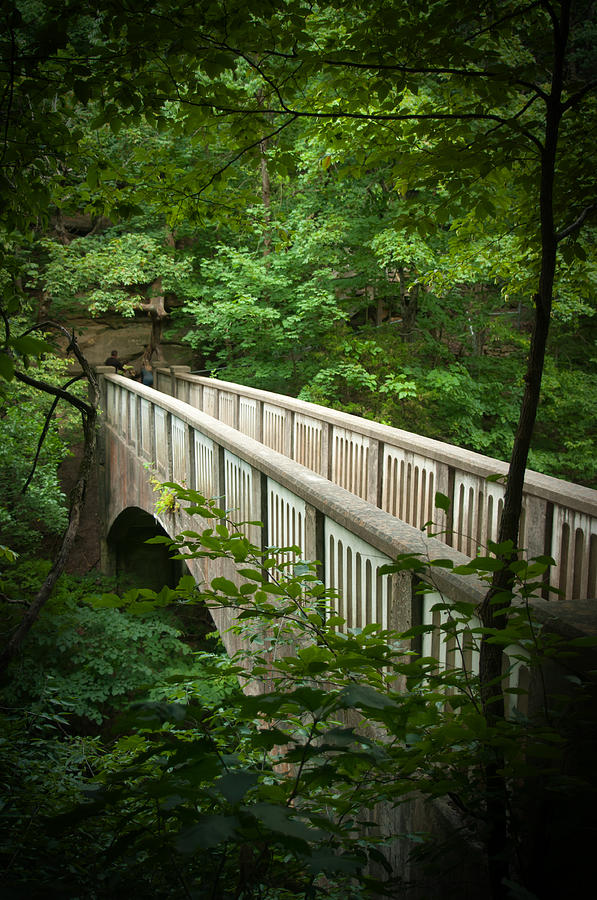 Bridge Among The Trees Photograph By Jennifer Englehardt 