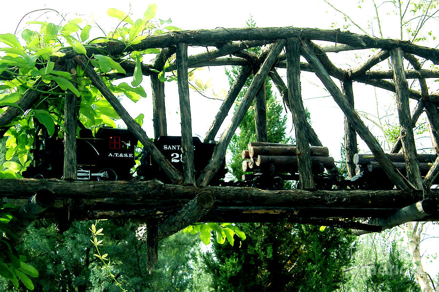Railroad Bridge Among The Trees Photograph by Linda Cox