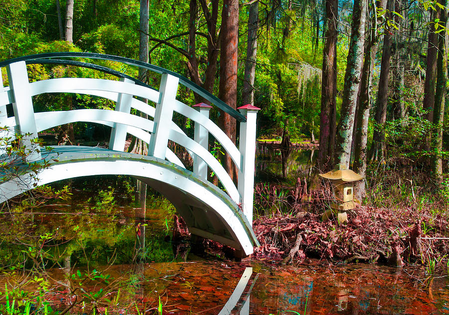 Magnolia Movie Photograph - Bridge and Asian Japanese Temple Pagoda by Optical Playground By MP Ray