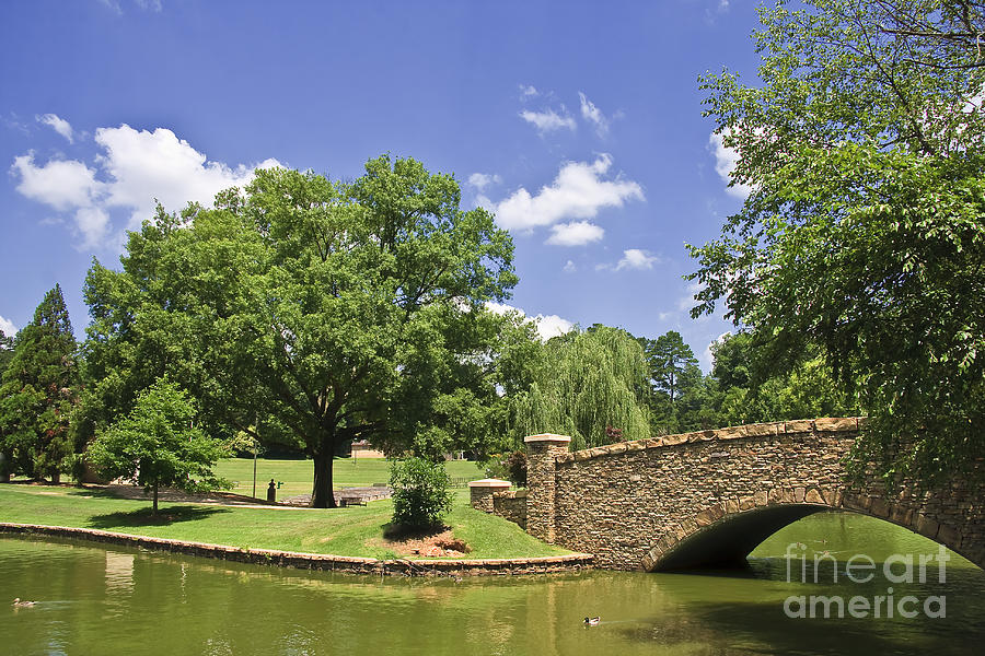 Bridge at a Park in the Summer Photograph by Jill Lang