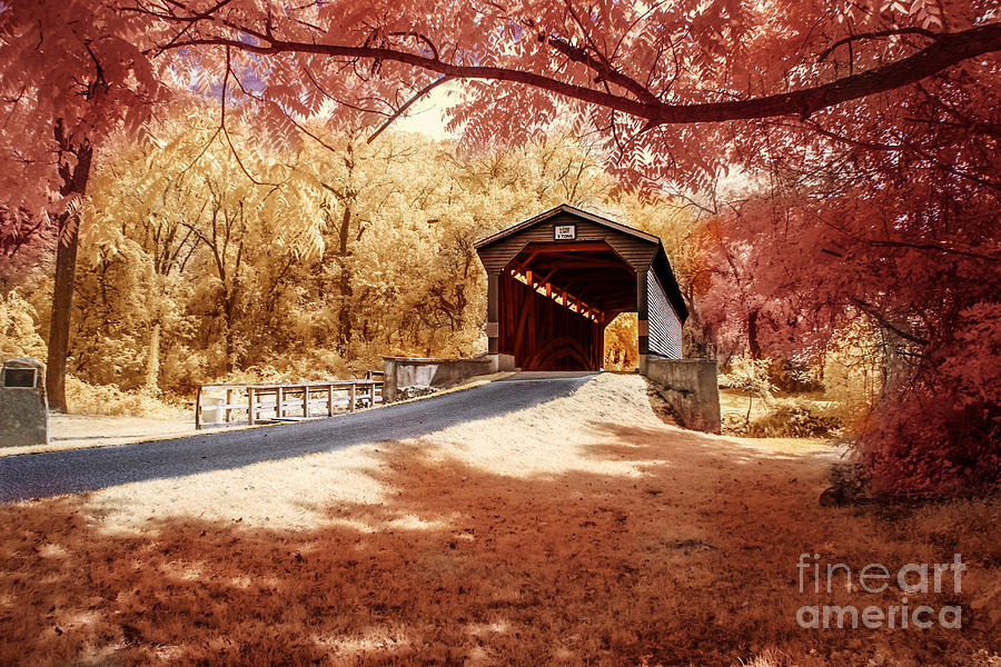 Nature Photograph - Bridge at Fairhill by Stacey Granger