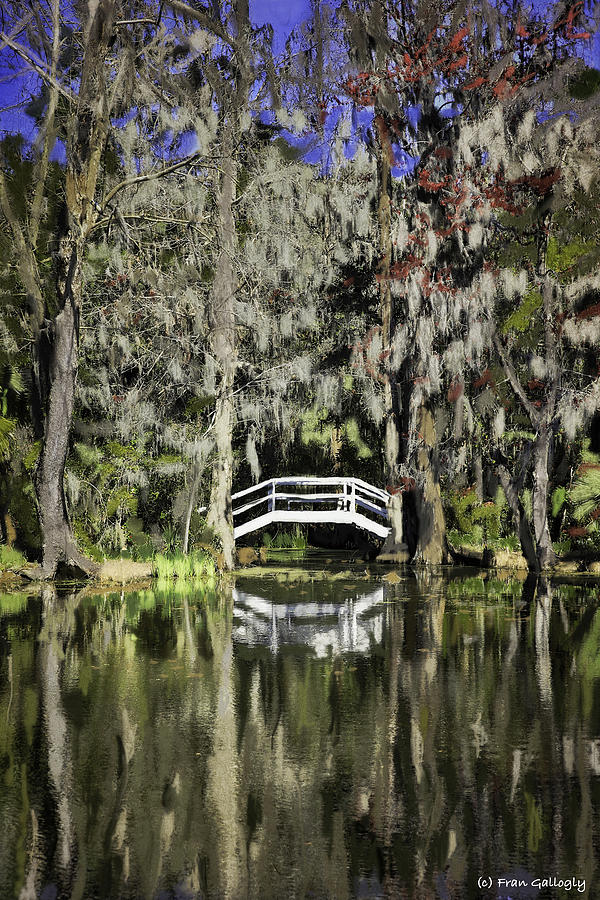 Bridge at Magnolia Plantation Photograph by Fran Gallogly