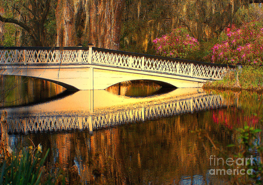 Bridge At Magnolia Plantation Photograph by Kathy Baccari