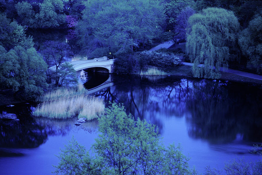 Bridge, Central Park, New York City, Ny Photograph by Jose Azel Bridge, Central Park, New York City, Ny Photograph by Jose Azel