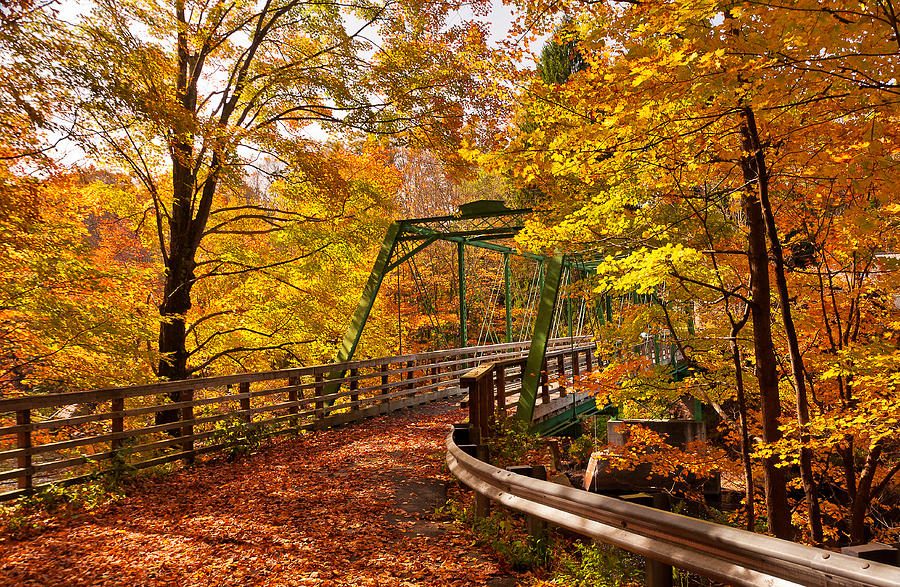 Bridge Dressed in Autumn Gold Photograph by Mitchell R Grosky