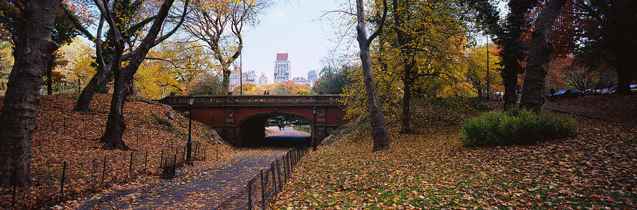 Bridge In A Park, Central Park Photograph by Panoramic Images