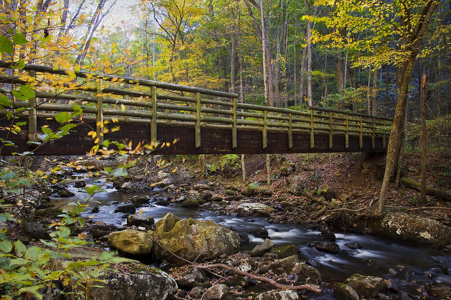 Bridge In Autumn Photograph by Amy Jackson
