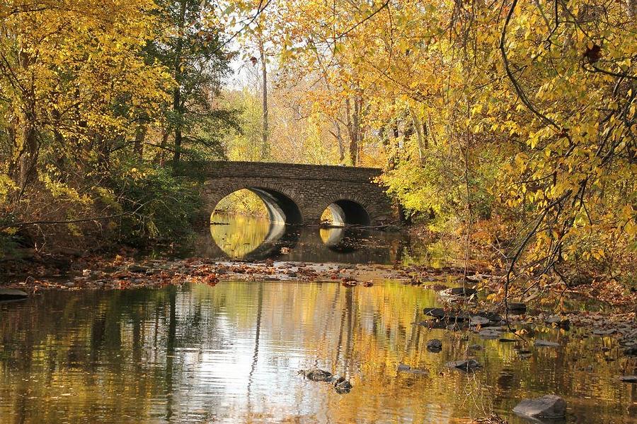Bridge in Autumn Photograph by Cathy Donohoue