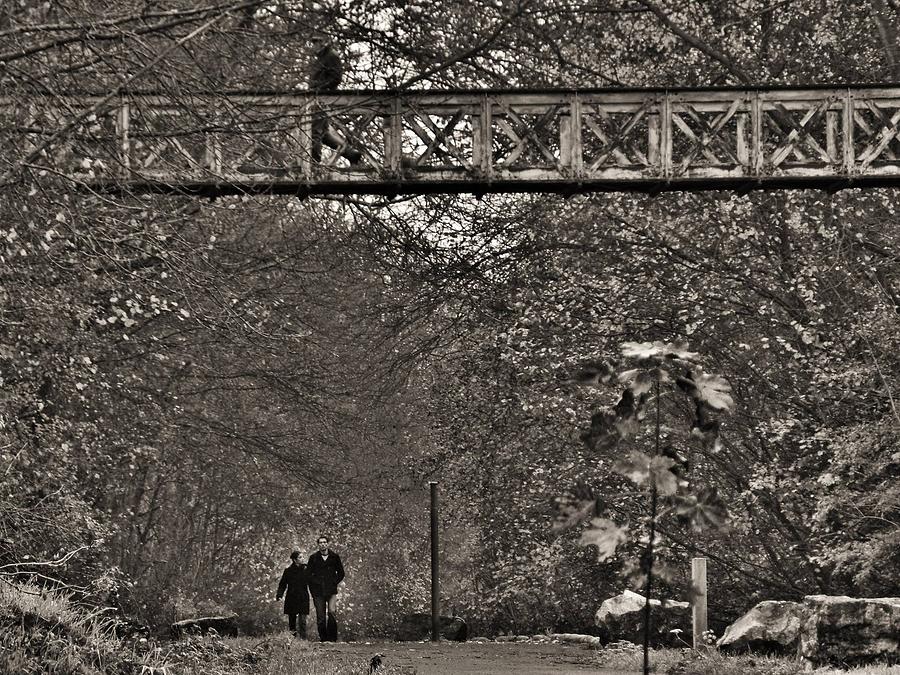 Landscape Photograph - Bridge in Houyet by Benjamin Gilson