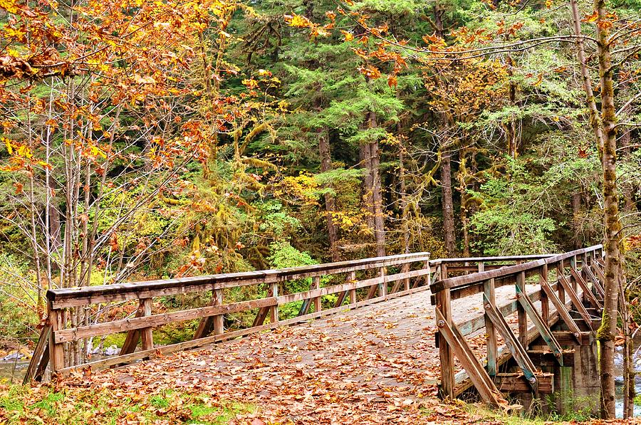Bridge In The Fall Photograph